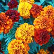 ヒメ日記 2025/06/24 06:46 投稿 なつき 吉原ファーストレディ