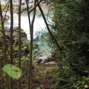 ヒメ日記 2025/06/30 06:16 投稿 なつき 吉原ファーストレディ