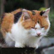 ヒメ日記 2025/07/02 07:16 投稿 なつき 吉原ファーストレディ