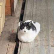 ヒメ日記 2025/07/11 06:11 投稿 なつき 吉原ファーストレディ