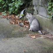 ヒメ日記 2025/07/16 06:26 投稿 なつき 吉原ファーストレディ