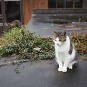 ヒメ日記 2025/07/24 06:41 投稿 なつき 吉原ファーストレディ