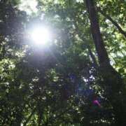 ヒメ日記 2025/07/25 07:26 投稿 なつき 吉原ファーストレディ