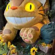 ヒメ日記 2025/08/03 07:06 投稿 なつき 吉原ファーストレディ