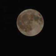 ヒメ日記 2025/08/09 23:28 投稿 なつき 吉原ファーストレディ