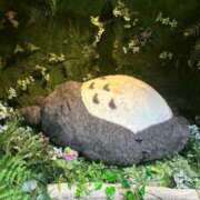 ヒメ日記 2025/08/11 06:32 投稿 なつき 吉原ファーストレディ