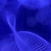 ヒメ日記 2025/08/23 06:14 投稿 なつき 吉原ファーストレディ