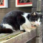 ヒメ日記 2025/08/27 06:58 投稿 なつき 吉原ファーストレディ