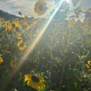 ヒメ日記 2025/08/30 05:56 投稿 なつき 吉原ファーストレディ