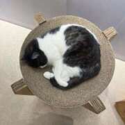 ヒメ日記 2025/09/02 06:05 投稿 なつき 吉原ファーストレディ