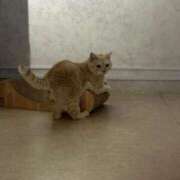 ヒメ日記 2025/09/02 07:36 投稿 なつき 吉原ファーストレディ