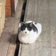 ヒメ日記 2025/09/02 23:45 投稿 なつき 吉原ファーストレディ