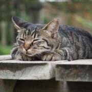 ヒメ日記 2025/09/06 16:26 投稿 なつき 吉原ファーストレディ