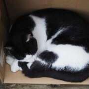 ヒメ日記 2025/09/07 05:26 投稿 なつき 吉原ファーストレディ