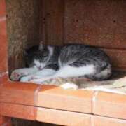 ヒメ日記 2025/09/07 09:36 投稿 なつき 吉原ファーストレディ