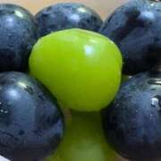 ヒメ日記 2025/09/16 07:56 投稿 なつき 吉原ファーストレディ