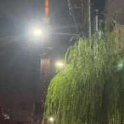 ヒメ日記 2025/09/19 23:46 投稿 なつき 吉原ファーストレディ