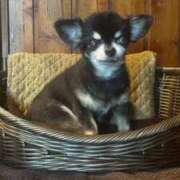 ヒメ日記 2025/09/20 23:26 投稿 なつき 吉原ファーストレディ