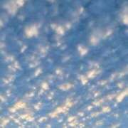 ヒメ日記 2025/09/23 06:06 投稿 なつき 吉原ファーストレディ