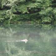 ヒメ日記 2025/09/26 07:10 投稿 なつき 吉原ファーストレディ