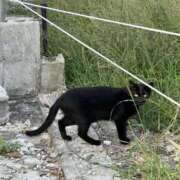 ヒメ日記 2025/09/30 00:11 投稿 なつき 吉原ファーストレディ