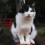 ヒメ日記 2025/09/30 06:26 投稿 なつき 吉原ファーストレディ