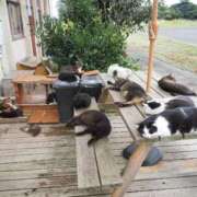 ヒメ日記 2025/09/30 21:57 投稿 なつき 吉原ファーストレディ