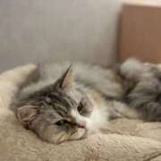 ヒメ日記 2025/10/07 10:07 投稿 なつき 吉原ファーストレディ