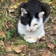 ヒメ日記 2025/10/09 06:36 投稿 なつき 吉原ファーストレディ