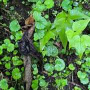 ヒメ日記 2025/10/20 06:26 投稿 なつき 吉原ファーストレディ