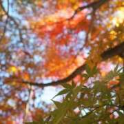 ヒメ日記 2025/10/23 06:13 投稿 なつき 吉原ファーストレディ