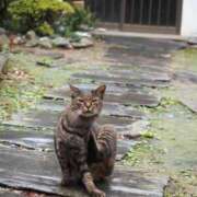 ヒメ日記 2025/10/23 09:16 投稿 なつき 吉原ファーストレディ