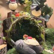 ヒメ日記 2025/10/31 06:26 投稿 なつき 吉原ファーストレディ