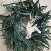 ヒメ日記 2025/11/22 05:26 投稿 なつき 吉原ファーストレディ