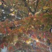 ヒメ日記 2025/12/03 14:16 投稿 なつき 吉原ファーストレディ