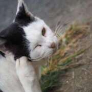 ヒメ日記 2025/12/10 12:52 投稿 なつき 吉原ファーストレディ