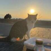 ヒメ日記 2025/12/14 08:32 投稿 なつき 吉原ファーストレディ