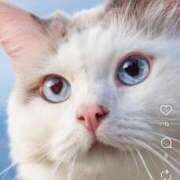 ヒメ日記 2025/12/16 15:31 投稿 なつき 吉原ファーストレディ