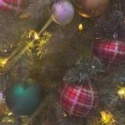 ヒメ日記 2025/12/20 05:16 投稿 なつき 吉原ファーストレディ