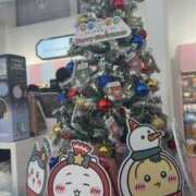 ヒメ日記 2025/12/22 16:46 投稿 なつき 吉原ファーストレディ