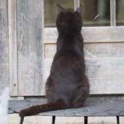 ヒメ日記 2026/01/08 06:26 投稿 なつき 吉原ファーストレディ