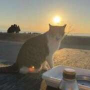 ヒメ日記 2026/01/11 22:06 投稿 なつき 吉原ファーストレディ