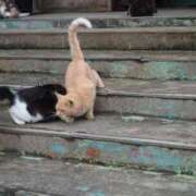 ヒメ日記 2026/01/12 06:26 投稿 なつき 吉原ファーストレディ