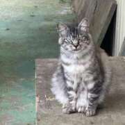 ヒメ日記 2026/01/14 12:06 投稿 なつき 吉原ファーストレディ