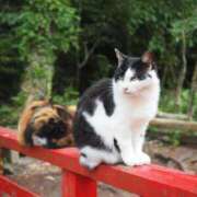 ヒメ日記 2026/01/19 05:56 投稿 なつき 吉原ファーストレディ