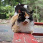 ヒメ日記 2026/01/23 06:16 投稿 なつき 吉原ファーストレディ