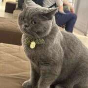 ヒメ日記 2026/01/24 07:26 投稿 なつき 吉原ファーストレディ