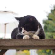 ヒメ日記 2026/01/26 06:26 投稿 なつき 吉原ファーストレディ