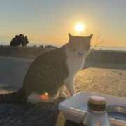 ヒメ日記 2026/01/29 06:06 投稿 なつき 吉原ファーストレディ