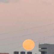 ヒメ日記 2026/02/02 06:56 投稿 なつき 吉原ファーストレディ